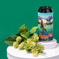 Hoppy Pils